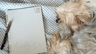 肺水腫のあと1カ月。記録を続けてわかったこと