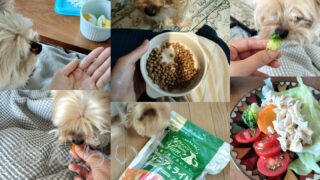 肺水腫後の「食べない」と向き合った記録